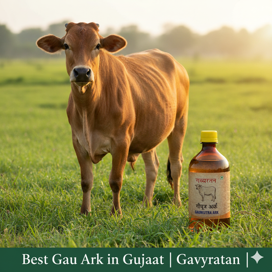 Best Gau Ark in Gujarat