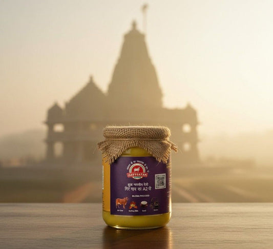 Desi cow ghee in Gujarat